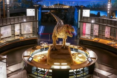 福井県立恐竜博物館のイメージ画像